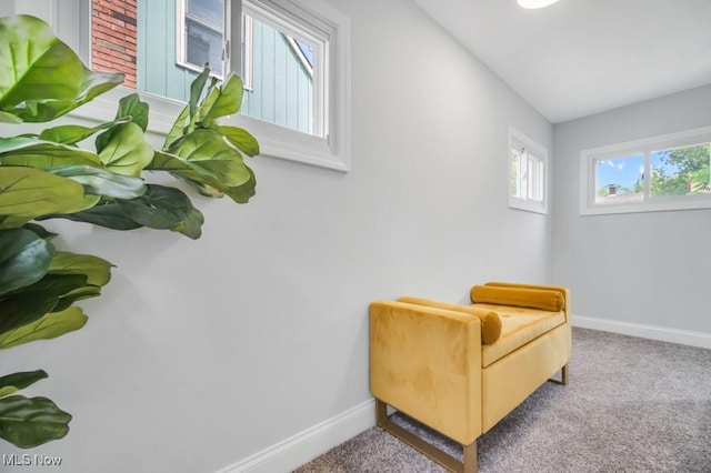 2186 Jackson Blvd, University Heights, OH 44118 - living area featuring baseboards and carpet floors