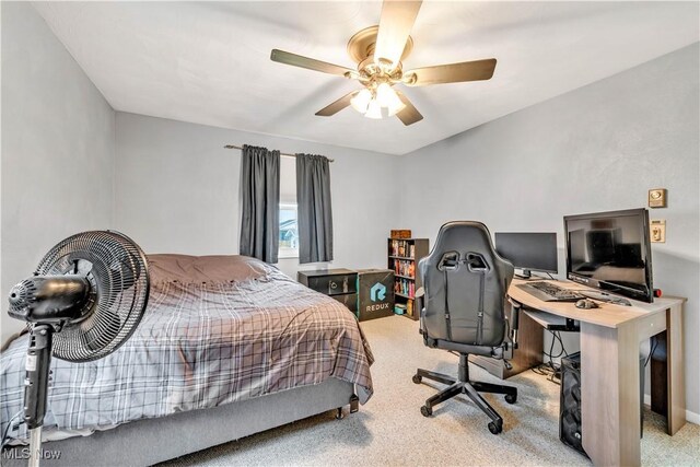 4817 Edgewood Dr, Lorain, OH 44053 - photo 24