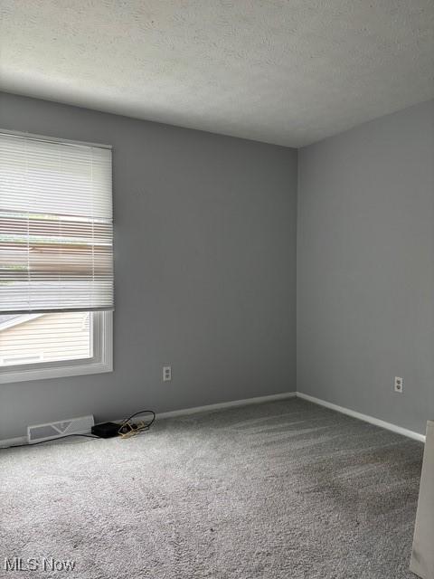 221 Canterbury Unit A38, Medina, OH 44256 - carpeted spare room with a textured ceiling and baseboards