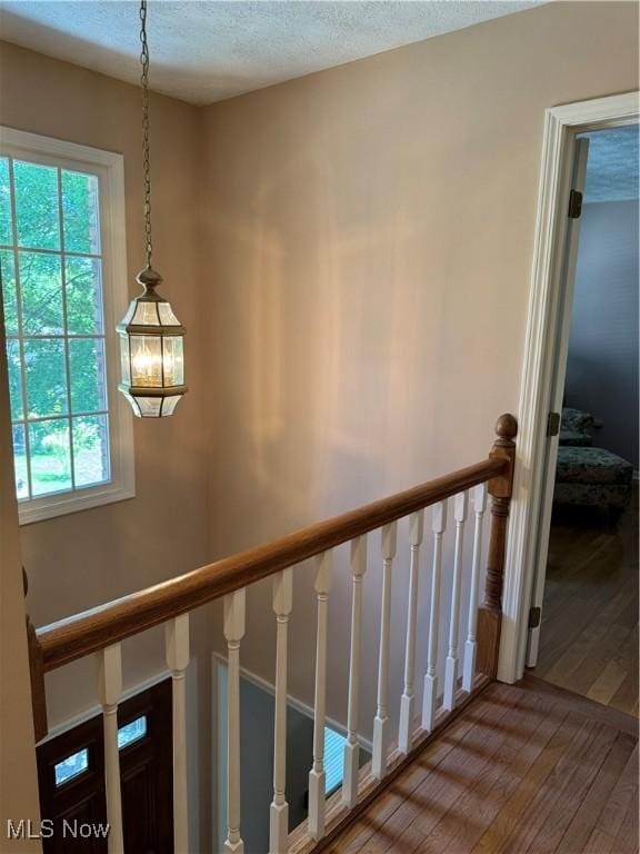 106 Toni Ln, Saint Clairsville, OH 43950 - photo 39