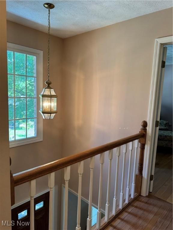 106 Toni Ln, Saint Clairsville, OH 43950 - photo 43