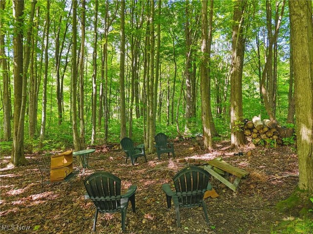 7234 Bridlewood Dr, Concord, OH 44077 - view of yard
