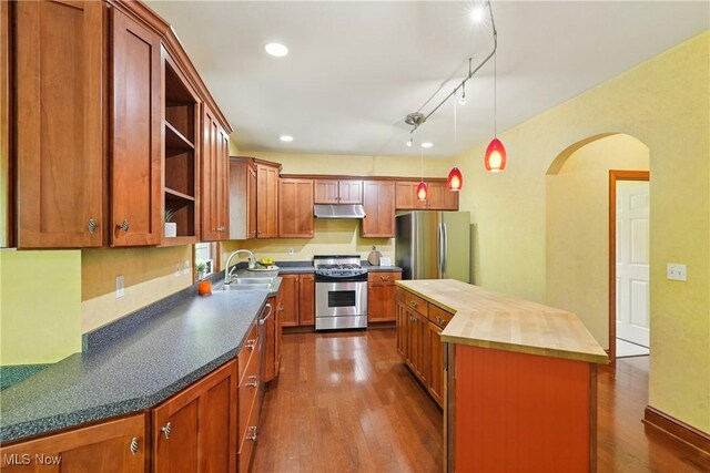 7234 Bridlewood Dr, Concord, OH 44077 - kitchen featuring appliances with stainless steel finishes, open shelves, a sink, dark wood-style flooring, and under cabinet range hood