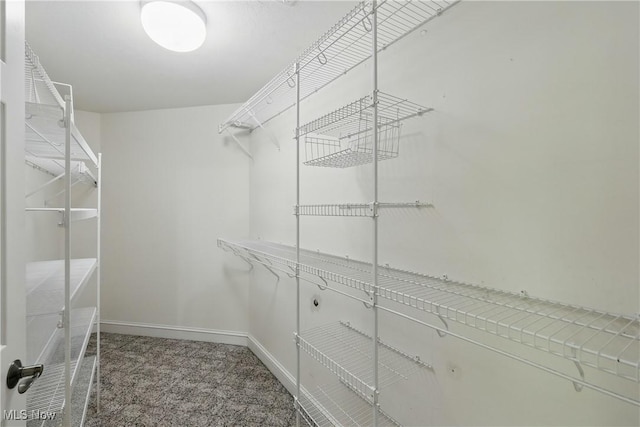 7234 Bridlewood Dr, Concord, OH 44077 - spacious closet with carpet floors