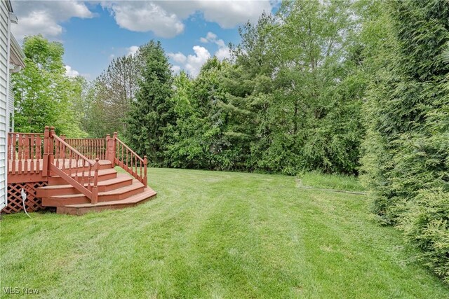 4388 Wedgewood Dr, Copley, OH 44321 - photo 38