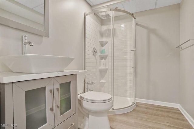 2426 Wrens Dr S, Stow, OH 44224 - full bathroom featuring toilet, a shower stall, vanity, and wood finished floors