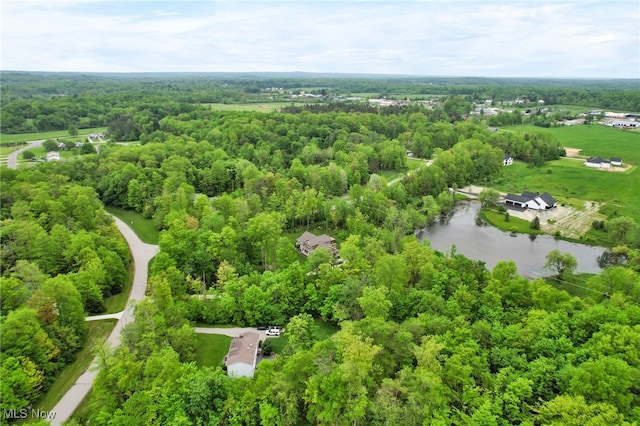 10905 Scranton Woods Trl, Newbury, OH 44065 - photo 42