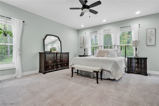 10905 Scranton Woods Trl, Newbury, OH 44065 - photo 16