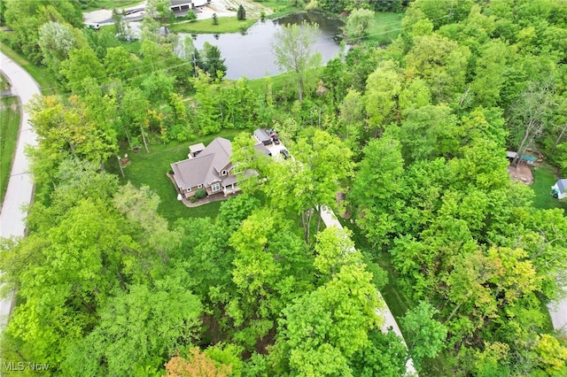10905 Scranton Woods Trl, Newbury, OH 44065 - photo 43
