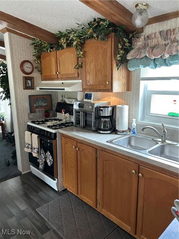 8452 E Bay Shore Rd Unit 7, Danbury, OH 43440 - kitchen with gas range gas stove, under cabinet range hood, a textured ceiling, light countertops, and a sink