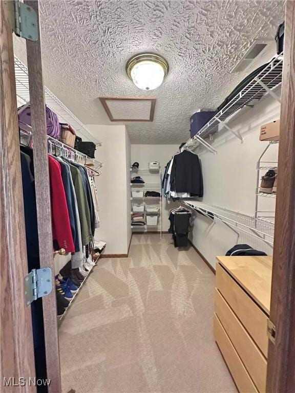 114 Mallard Creek Run, Lagrange, OH 44050 - spacious closet with carpet and attic access