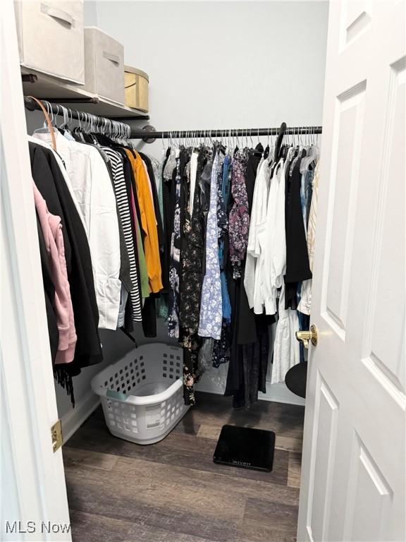 73 Falls River Dr Unit 6, Munroe Falls, OH 44262 - spacious closet with wood finished floors
