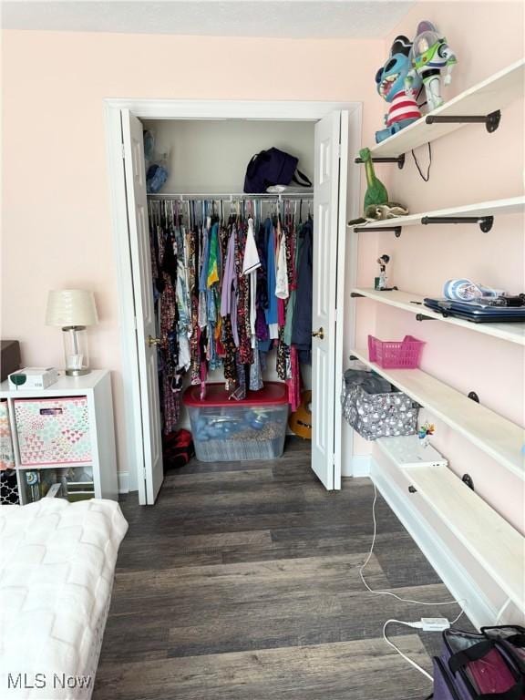 73 Falls River Dr Unit 6, Munroe Falls, OH 44262 - view of closet