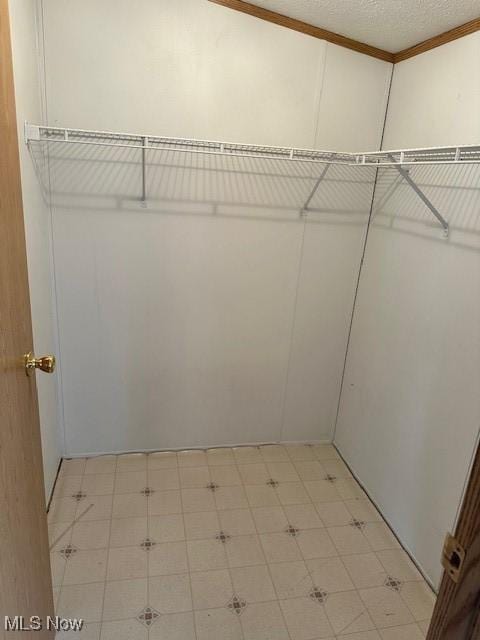 1569 Bogie Ln, Painesville, OH 44077 - walk in closet with light flooring