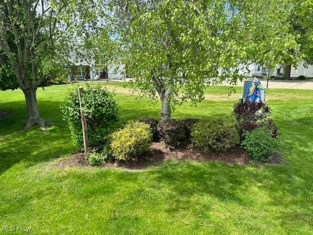 1569 Bogie Ln, Painesville, OH 44077 - view of green lawn
