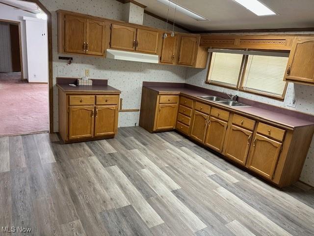 1569 Bogie Ln, Painesville, OH 44077 - kitchen with vaulted ceiling, a sink, under cabinet range hood, brown cabinetry, and light wood-style floors