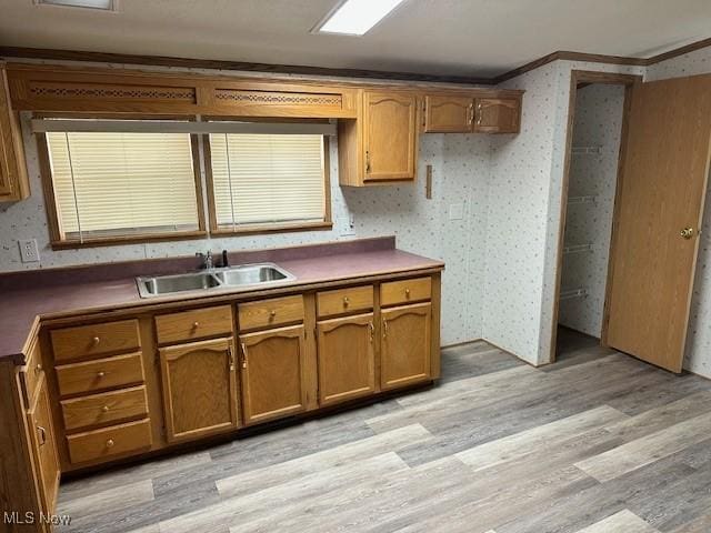 1569 Bogie Ln, Painesville, OH 44077 - kitchen featuring a sink, crown molding, light wood finished floors, and brown cabinets