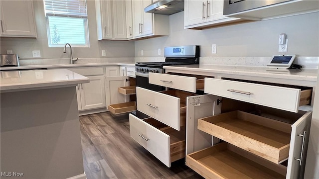 8099 Brookview Ln, Mentor, OH 44060 - kitchen with ventilation hood, stainless steel gas stove, dark wood-type flooring, light countertops, and white cabinetry