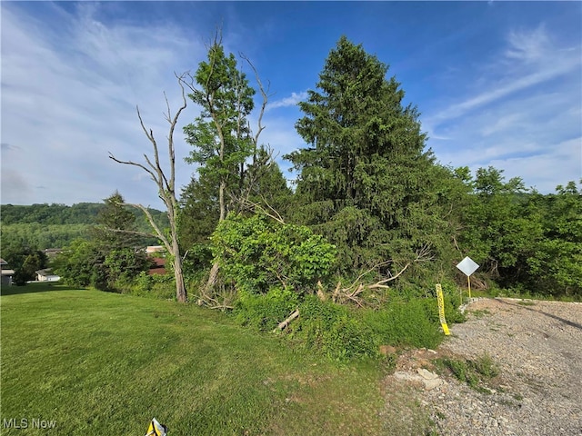 55560 Poplar Ave, Bridgeport, OH 43912