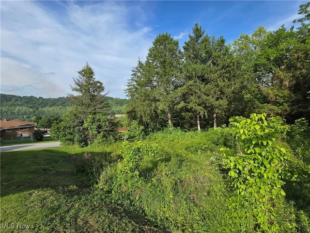 55560 Poplar Ave, Bridgeport, OH 43912