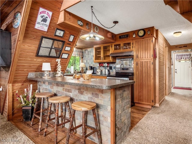 316 Saint Andrews Ln, Senecaville, OH 43780 - bar area featuring wood walls, stainless steel electric range, under cabinet range hood, carpet flooring, and a textured ceiling