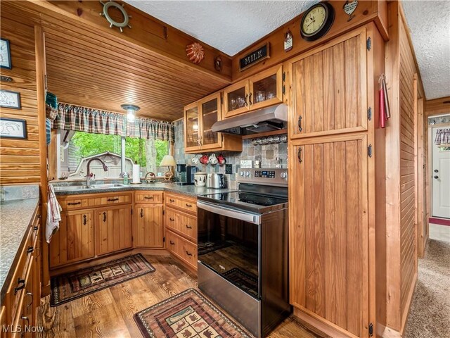 316 Saint Andrews Ln, Senecaville, OH 43780 - kitchen with ventilation hood, stainless steel electric stove, a textured ceiling, light wood-style flooring, and a sink