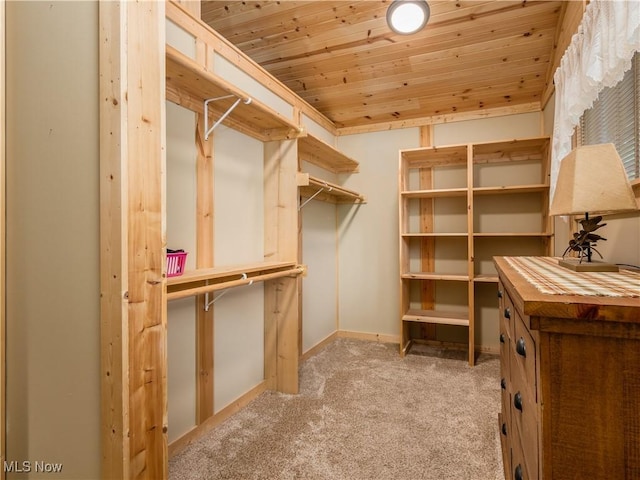 316 Saint Andrews Ln, Senecaville, OH 43780 - spacious closet featuring carpet floors