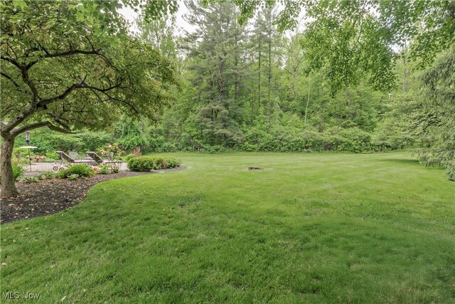 4080 Chagrin River Rd, Moreland Hills, OH 44022 - photo 50
