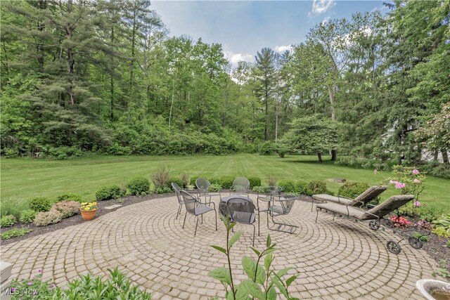 4080 Chagrin River Rd, Moreland Hills, OH 44022 - photo 44