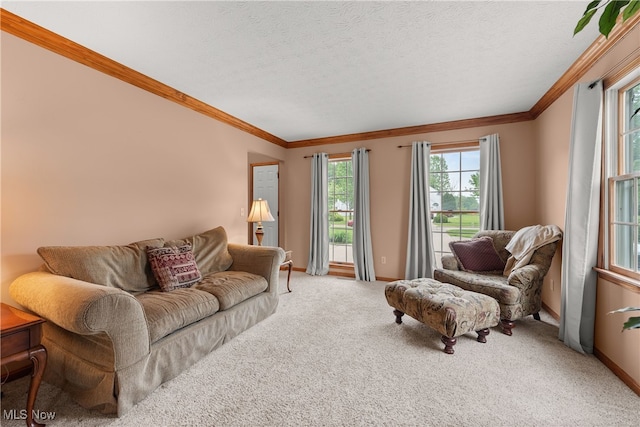 8373 Forest View Dr, Olmsted Falls, OH 44138 - living area featuring ornamental molding, carpet floors, baseboards, and a textured ceiling