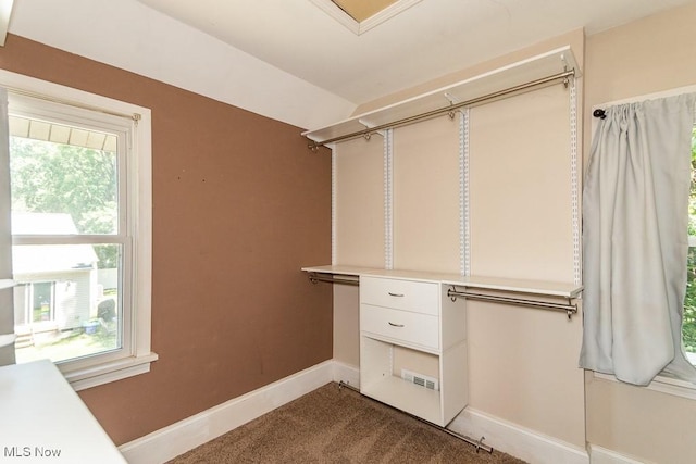 8526 Hoyt Ct, Mentor, OH 44060 - walk in closet featuring carpet