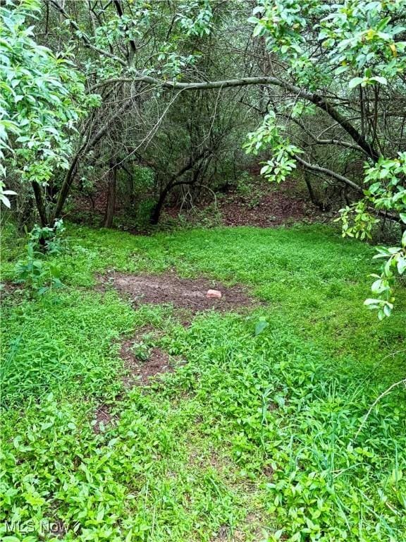 44312 Cream Ridge Rd, Lisbon, OH 44432 - photo 9