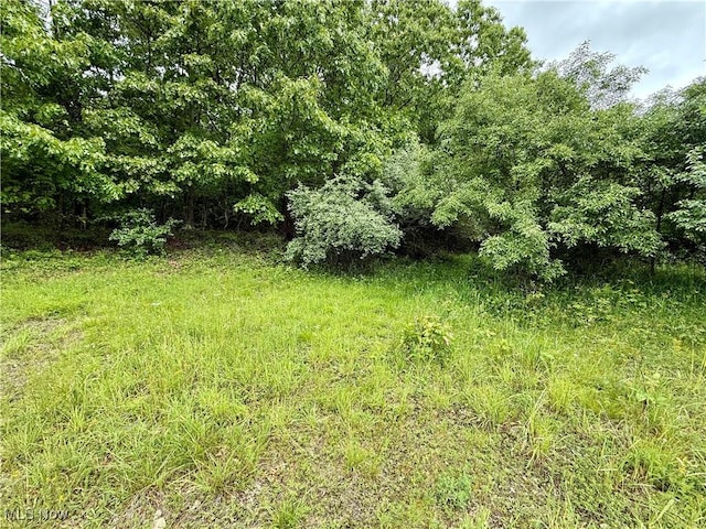 44312 Cream Ridge Rd, Lisbon, OH 44432 - photo 4
