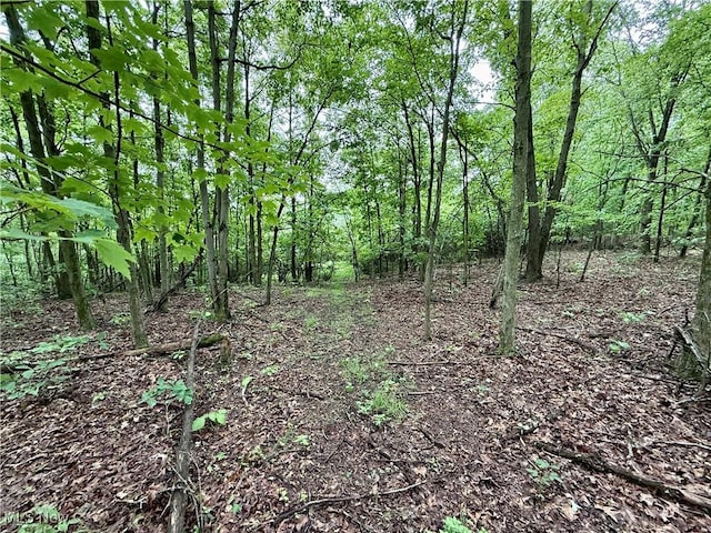 44312 Cream Ridge Rd, Lisbon, OH 44432 - photo 3