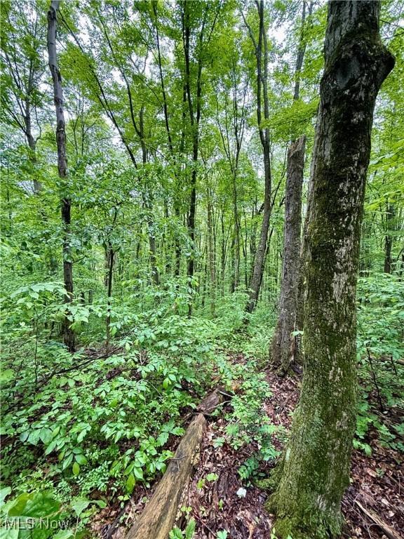 44312 Cream Ridge Rd, Lisbon, OH 44432 - photo 6