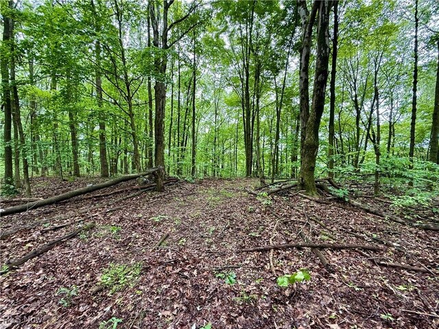 44312 Cream Ridge Rd, Lisbon, OH 44432 - photo 45