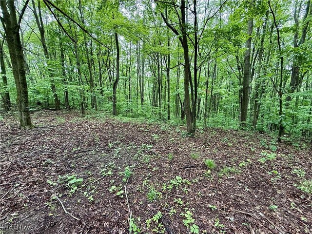 44312 Cream Ridge Rd, Lisbon, OH 44432 - photo 46
