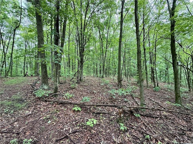 44312 Cream Ridge Rd, Lisbon, OH 44432 - photo 47