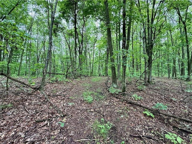 44312 Cream Ridge Rd, Lisbon, OH 44432 - photo 2
