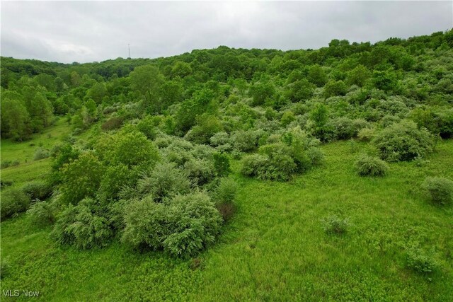 44312 Cream Ridge Rd, Lisbon, OH 44432 - photo 48