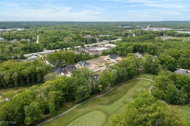 810 Club Dr W, Aurora, OH 44202 - view of property location featuring a local golf course and a forest