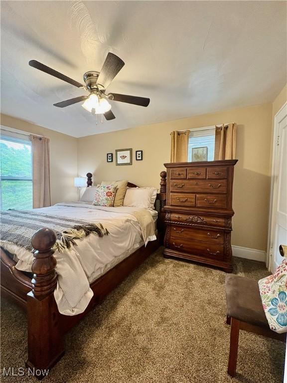 9 Poplar St, Bridgeport, OH 43912 - carpeted bedroom featuring multiple windows, a ceiling fan, and baseboards