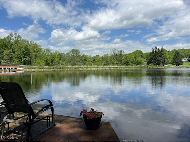 8330 Lucerne Dr, Chagrin Falls, OH 44023 - photo 20