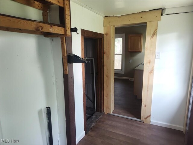 681 Madison St, Conneaut, OH 44030 - hallway with dark wood finished floors and baseboards