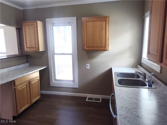 681 Madison St, Conneaut, OH 44030 - kitchen with a sink, baseboards, dark wood finished floors, light countertops, and ornamental molding