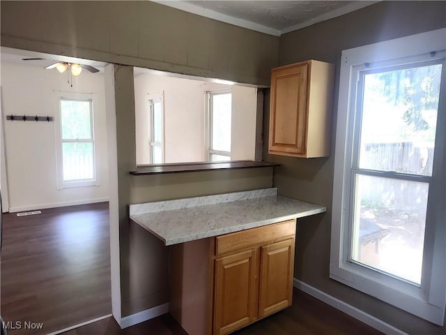 681 Madison St, Conneaut, OH 44030 - kitchen with baseboards, dark wood-style flooring, and ceiling fan