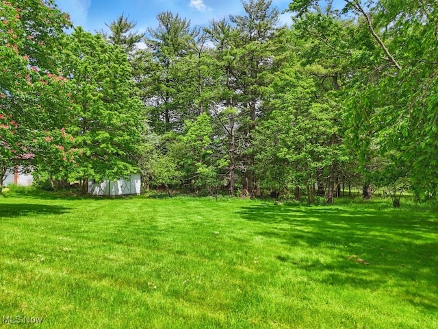 8049 Mccreary Rd, Broadview Heights, OH 44147 - view of green lawn