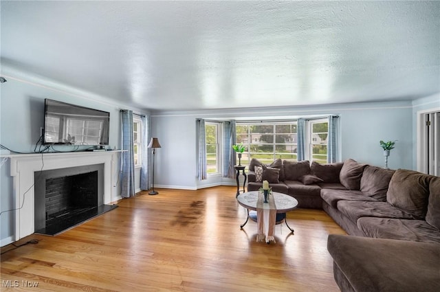 1572 S Belvoir Blvd, South Euclid, OH 44121 - living area featuring light wood-type flooring, a fireplace with raised hearth, and baseboards