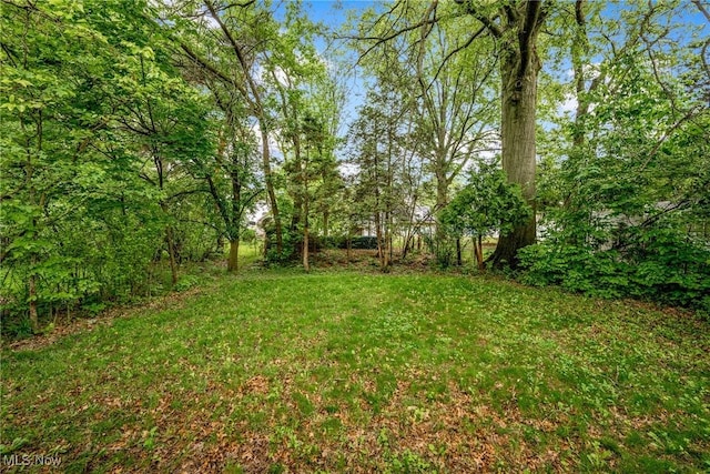 14943 Carol Dr, Maple Heights, OH 44137 - photo 30