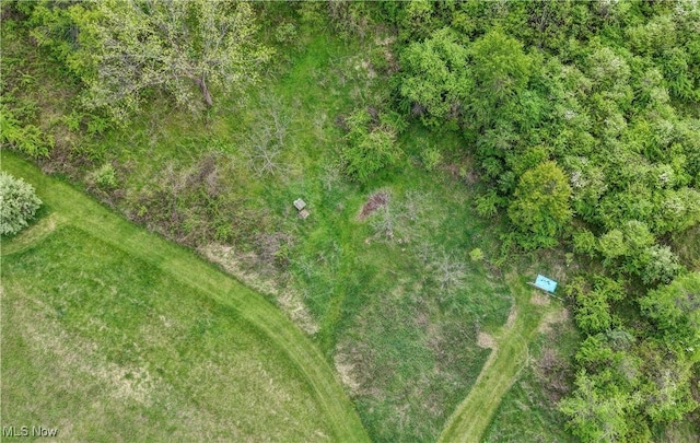 85530 Beagle Club Rd, Scio, OH 43988 - bird's eye view